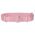 Mirage Pet Products Plain Nylon Martingale Dog CollarSmall Rose 124-1M RSSM